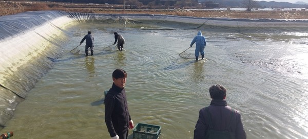 예당내수면어업계