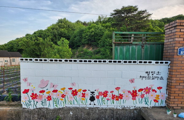 청양군, 2024년 치매 안심마을 벽화 그리기 사업 완료